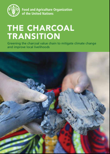 The charcoal Transition